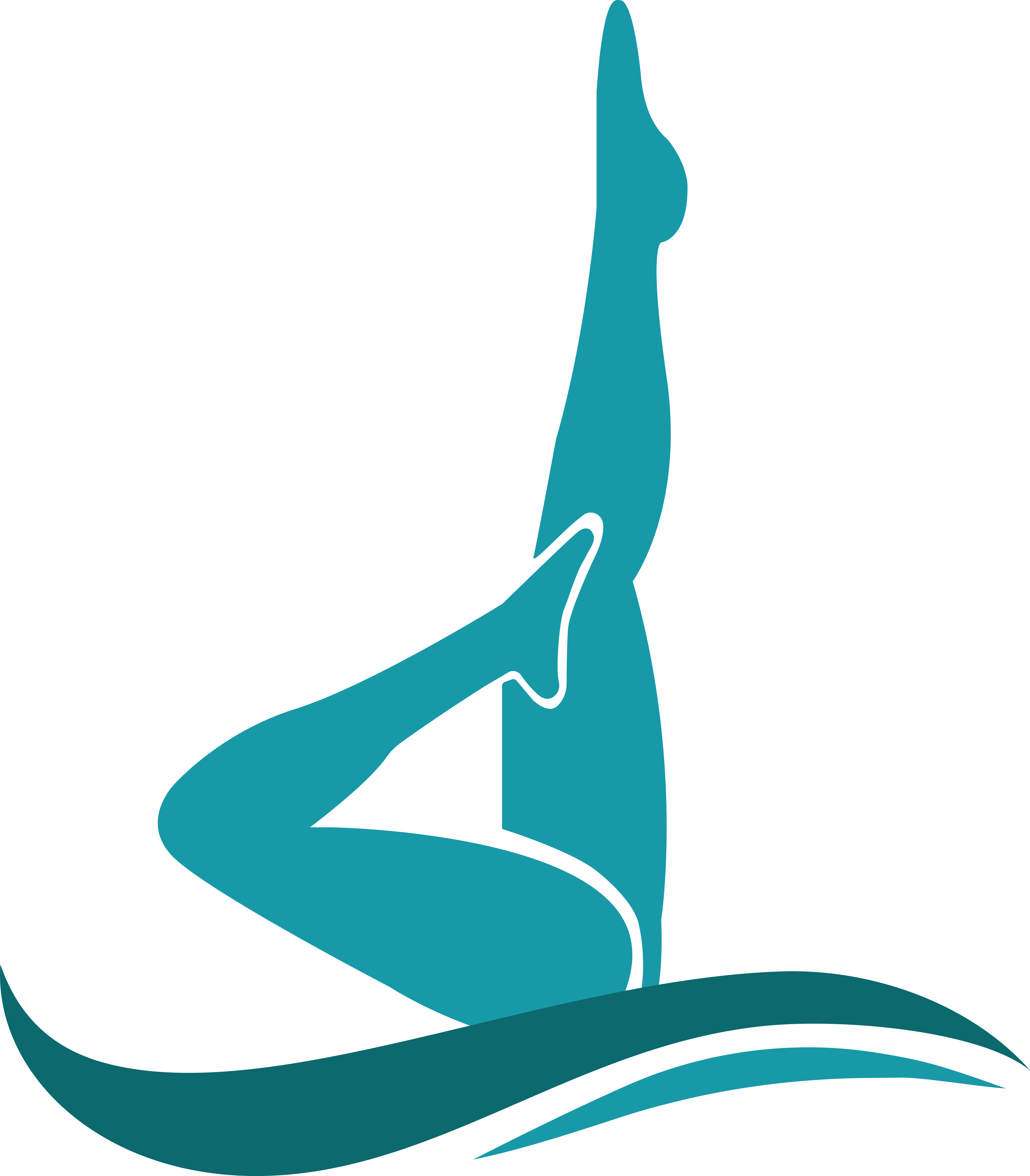Natación Art赤stica